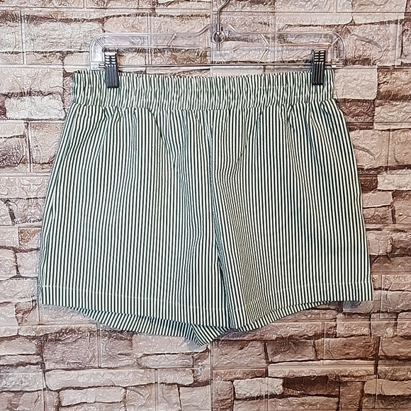 Forever 21 Pants - Forever 21 Green Striped  Short